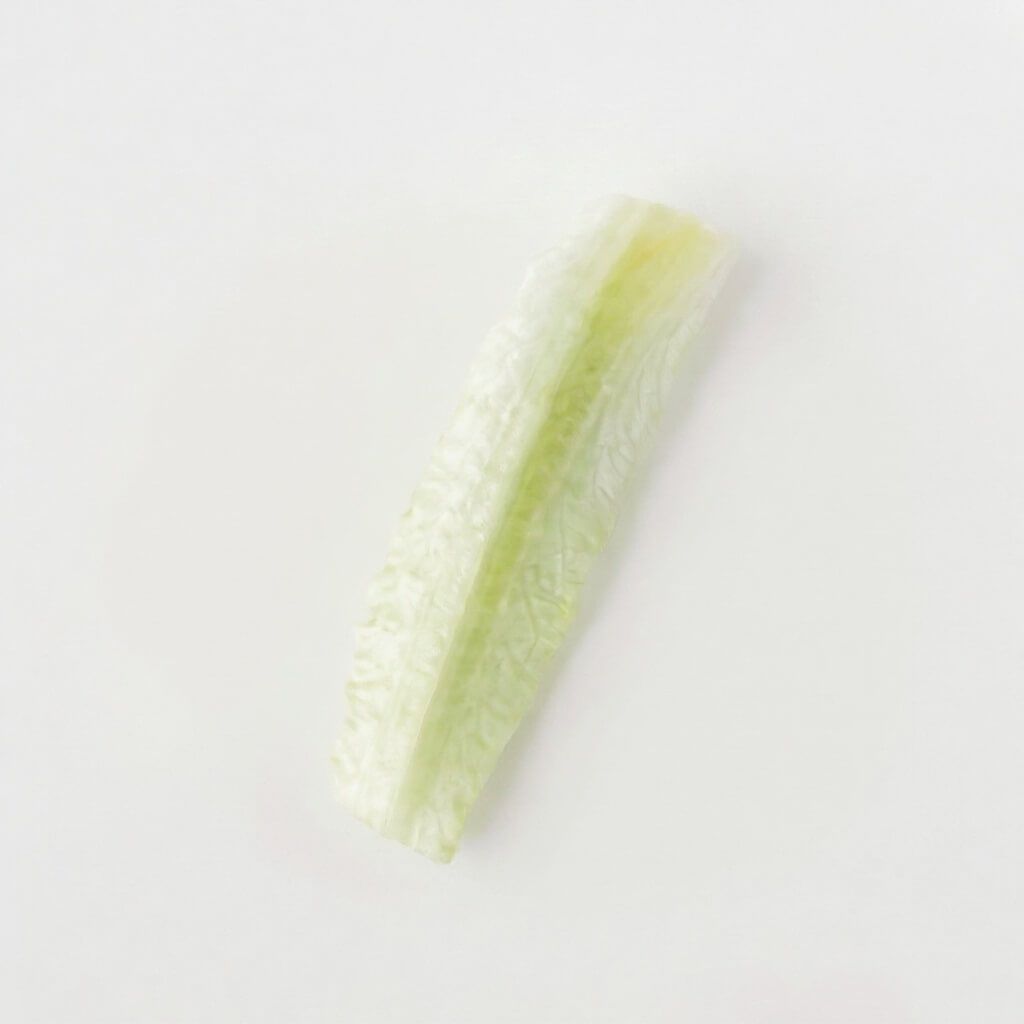 Lettuce - 6+ months