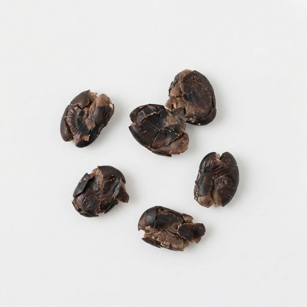 Black Beans - 9+ months