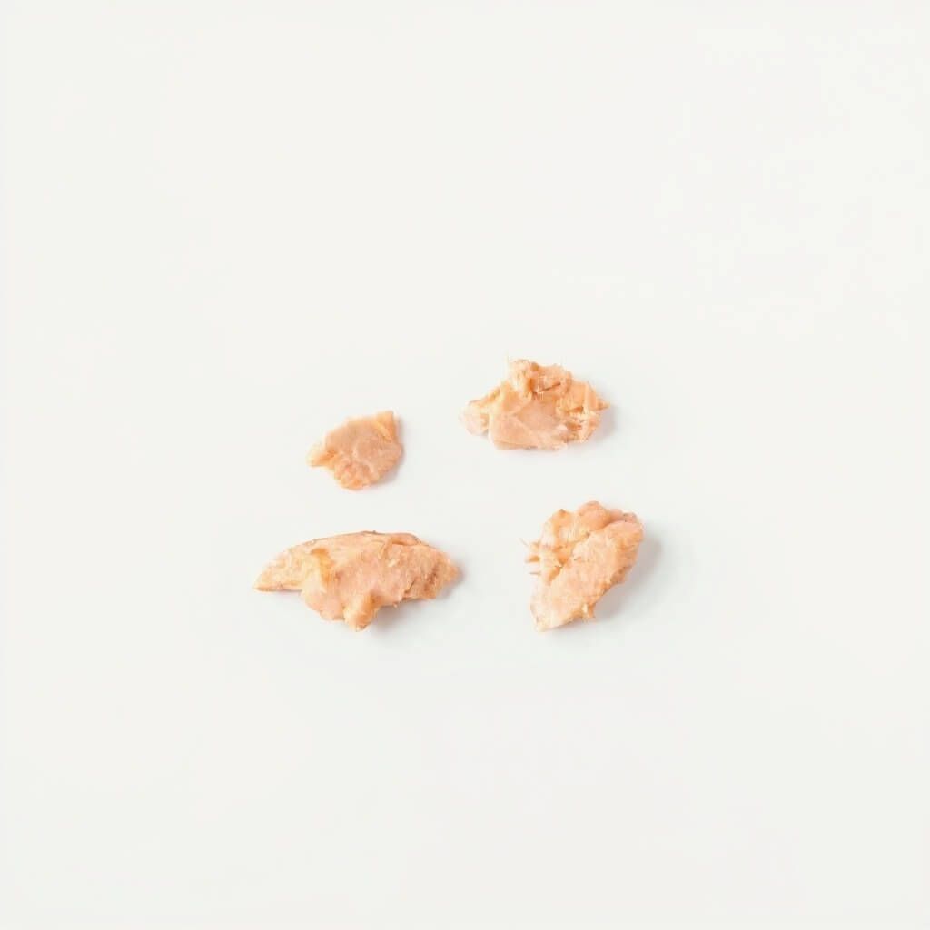 Salmon - 9+ months